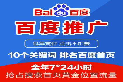 SEM竞价实战：成功案例解析